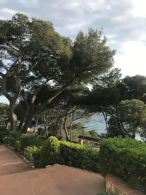 Beach Apartment Overseeing The Sea Llafranc