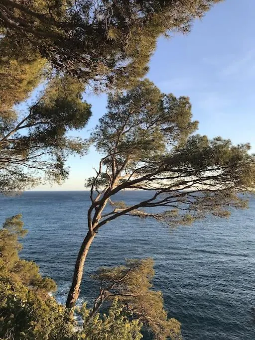 Beach Apartment Overseeing The Sea Llafranc 0*,