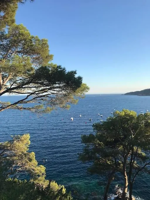 Beach Apartment Overseeing The Sea Llafranc